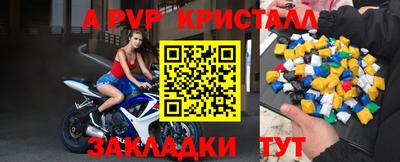 сатива Гай