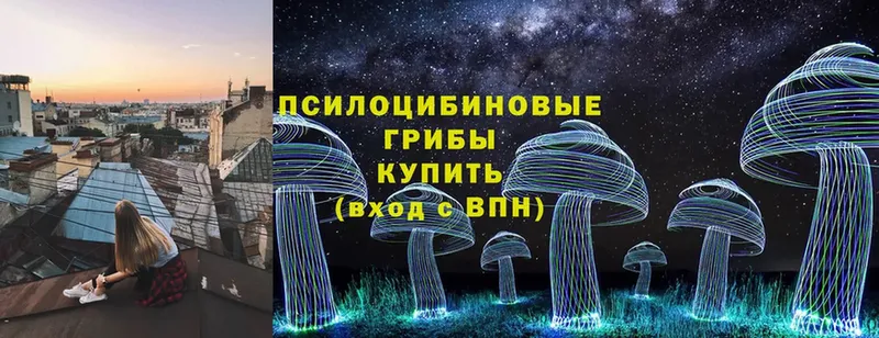 Псилоцибиновые грибы Cubensis  Гусев 