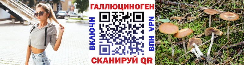 наркота Гусев Галлюциногенные грибы Psilocybine cubensis