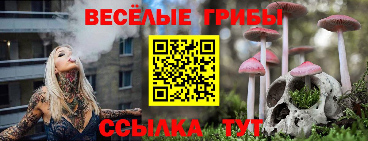 Галлюциногенные грибы мухоморы Гусев