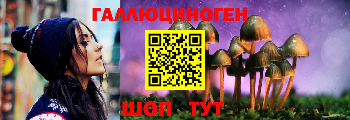 Псилоцибиновые грибы мицелий  Гусев  Псилоцибиновые грибы мицелий 